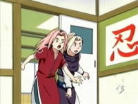 Ino e Sakura